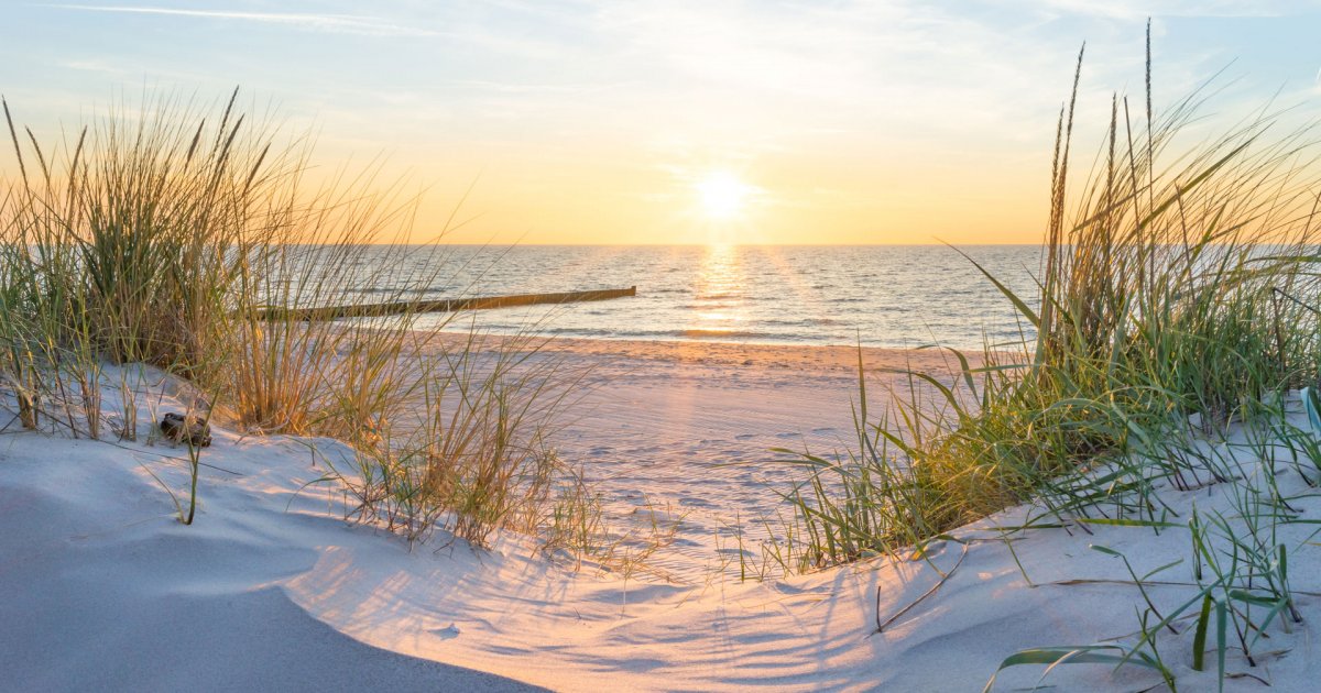 Himmelfahrt 2024 an der Ostsee  Arrangement-Detail  schlossgut gross 