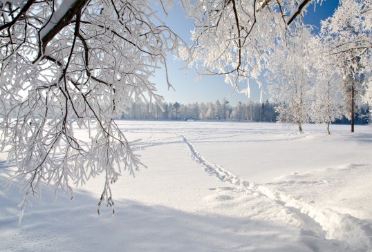winter
