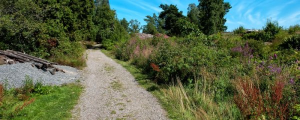    VANDRE- OG JOGGINGSTIER & VANDRINGER MED GUIDE 