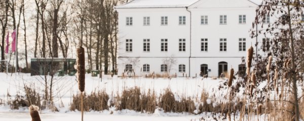 Winterknaller