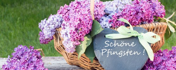 Pfingsttage 2025 im schlossgut gross schwansee