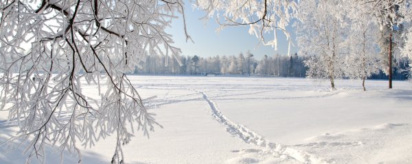 Adventszauber