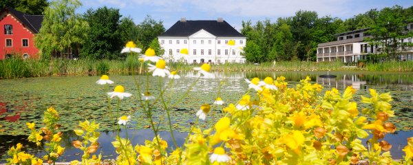 Frühlingserwachen